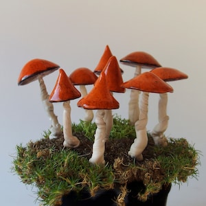May include: A group of ceramic mushrooms with orange caps and white stems are arranged in a bed of green moss. The mushrooms are all different sizes and shapes, and they are arranged in a cluster.