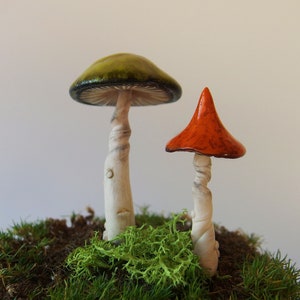Può includere: Due funghi in ceramica, uno con un cappello verde e l'altro con un cappello arancione, sono seduti su un letto di muschio verde.