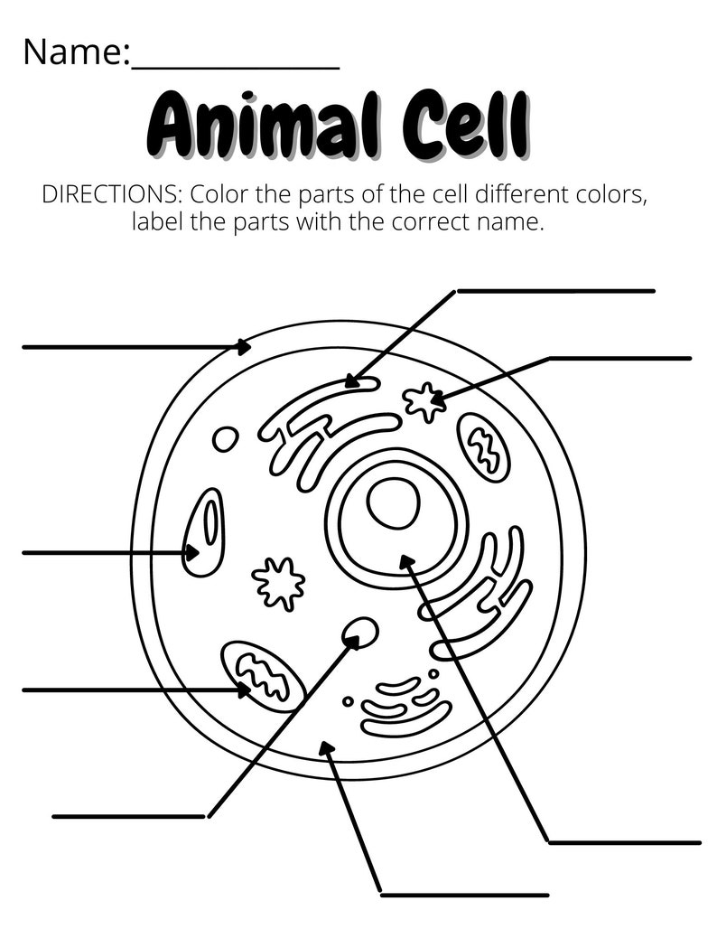 Animal and Plant Cell Identification Coloring and Labeling | Etsy