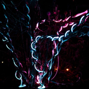Colours Of The Night - A Photo By SW Photography *ON SALE*