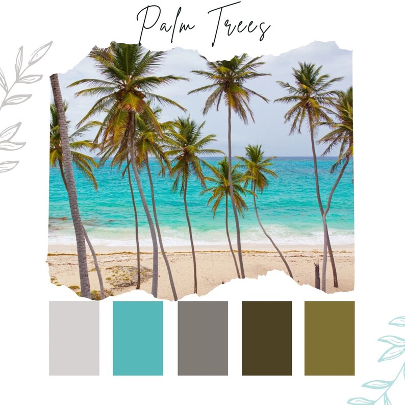 Palm Trees Colour Palette Hex Codes for Business Branding Etsy