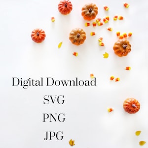 May include: Digital download of SVG, PNG, and JPG files featuring a white background with scattered orange and yellow candy corn and small orange pumpkins.