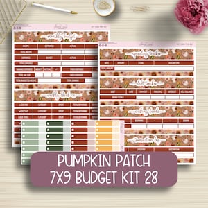 7x9 Budget Kit Planner Stickers, Budget Tracker, Debt, EC, Erin Condren Life Planner, Sticker Sheet, Happy Planner, Functional, KIT-028