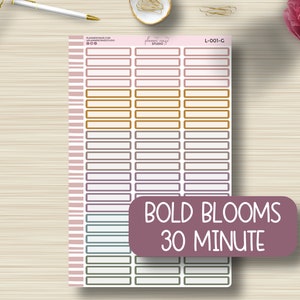 30 Minute Labels Planner Stickers, Header, Erin Condren, ECLP, EC, Hourly, Happy Planner, Sticker Sheet, Plum Paper, L-001