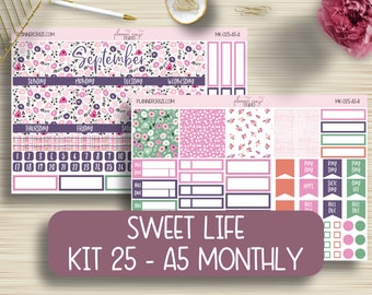 EC A5 Monthly Planner Stickers, Planning, Tracking, Bill Due, Reminder, EC, Erin Condren Life Planner, Happy Planner, Functional, KIT-025