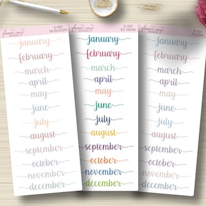 Monatliche Sticker, Monatliche Skripte, Dashboard, Planungsaufkleber, Erin Condren, EC, Happy Planner, funktional, S-051
