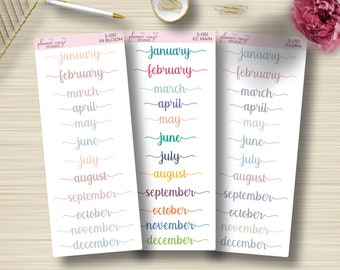 Month Planner Stickers, Monthly Scripts, Dashboard, Planning Sticker, Erin Condren, EC, Happy Planner, Functional, S-051