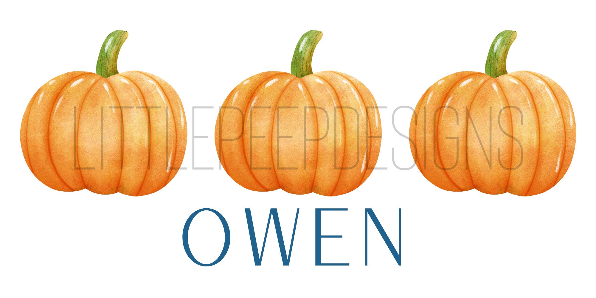 Pumpkins Watercolor Clipart,Fall, PNG,Sublimation Digital Download, Printable Artwork Design, Toddler Boy's Fall Gift