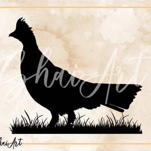 Ruffed Grouse on Grass - ruffed grouse svg, caça svg, svg, png, cricut, dxf, clipart, para uso comercial e pessoal
