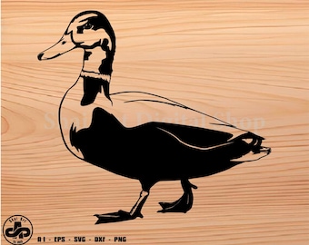 Mallard Duck, Duck svg, Duck hunting svg, hunting svg, svg, png, cricut, dxf, clipart, for Commercial and Personal use