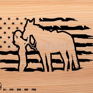 horse svg, horse and girl US Flag cut svg, cowgirl svg, svg, png, cricut, dxf, clipart, for Commercial and Personal use