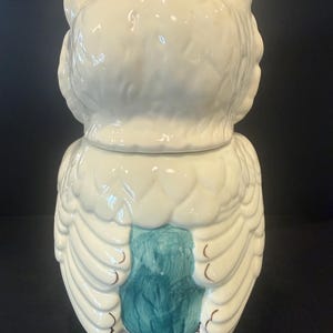 May include: White ceramic owl-shaped cookie jar with a teal-colored design on the front. The owl has large, detailed wings and a lid that fits snugly on top. The jar is a decorative kitchen item.