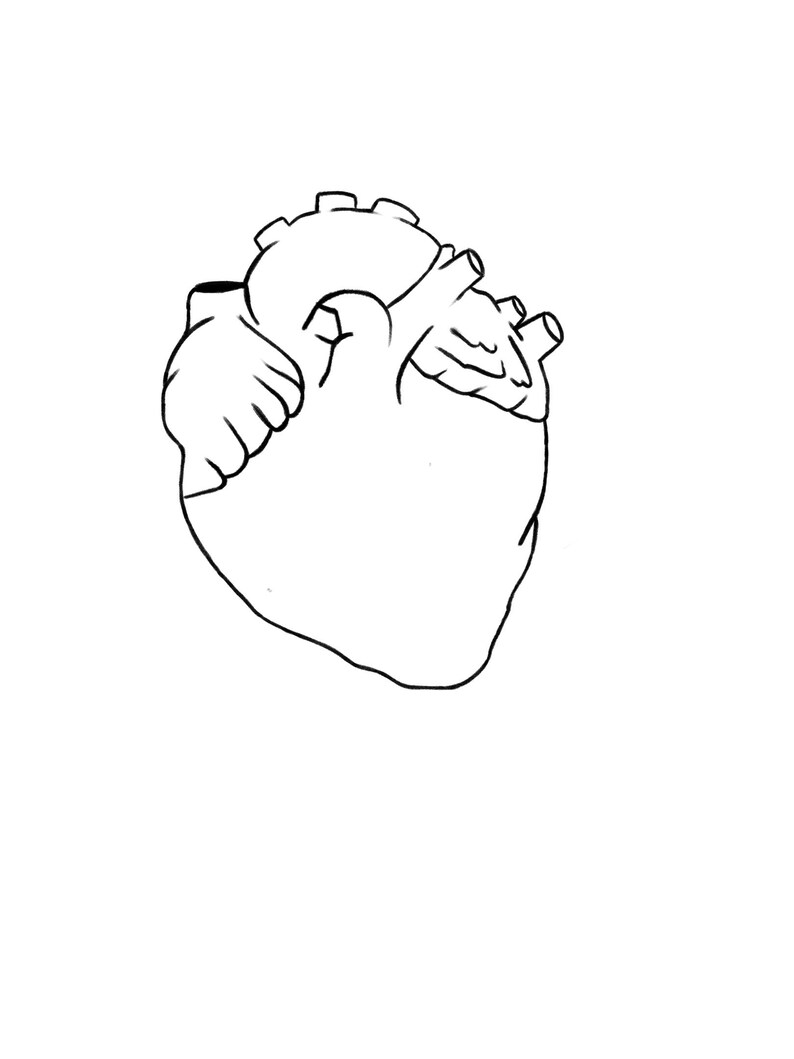 Op de afbeelding: Een zwart-witte lijntekening van een menselijk hart.