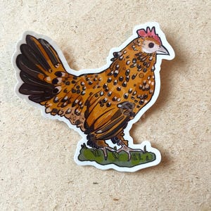 Chicken sticker, vinyl sticker, cute sticker, waterproof sticker, water bottle sticker, animal sticker