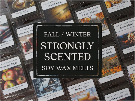 Fall / Winter Wax Melts - Strongly Scented Soy Wax Melts - Handmade Natural Wax Melts for Warmer - Non Toxic and Pet Safe