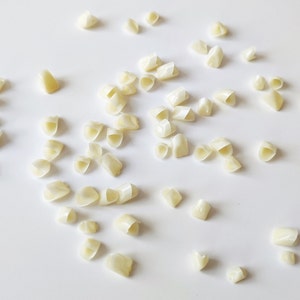 50pc Loose Teeth Acrylic Resin Teeth Dental Temporary Crown Incisor Teeth Veneers Denture False Realistic Posterior Craft , Supplies , Props