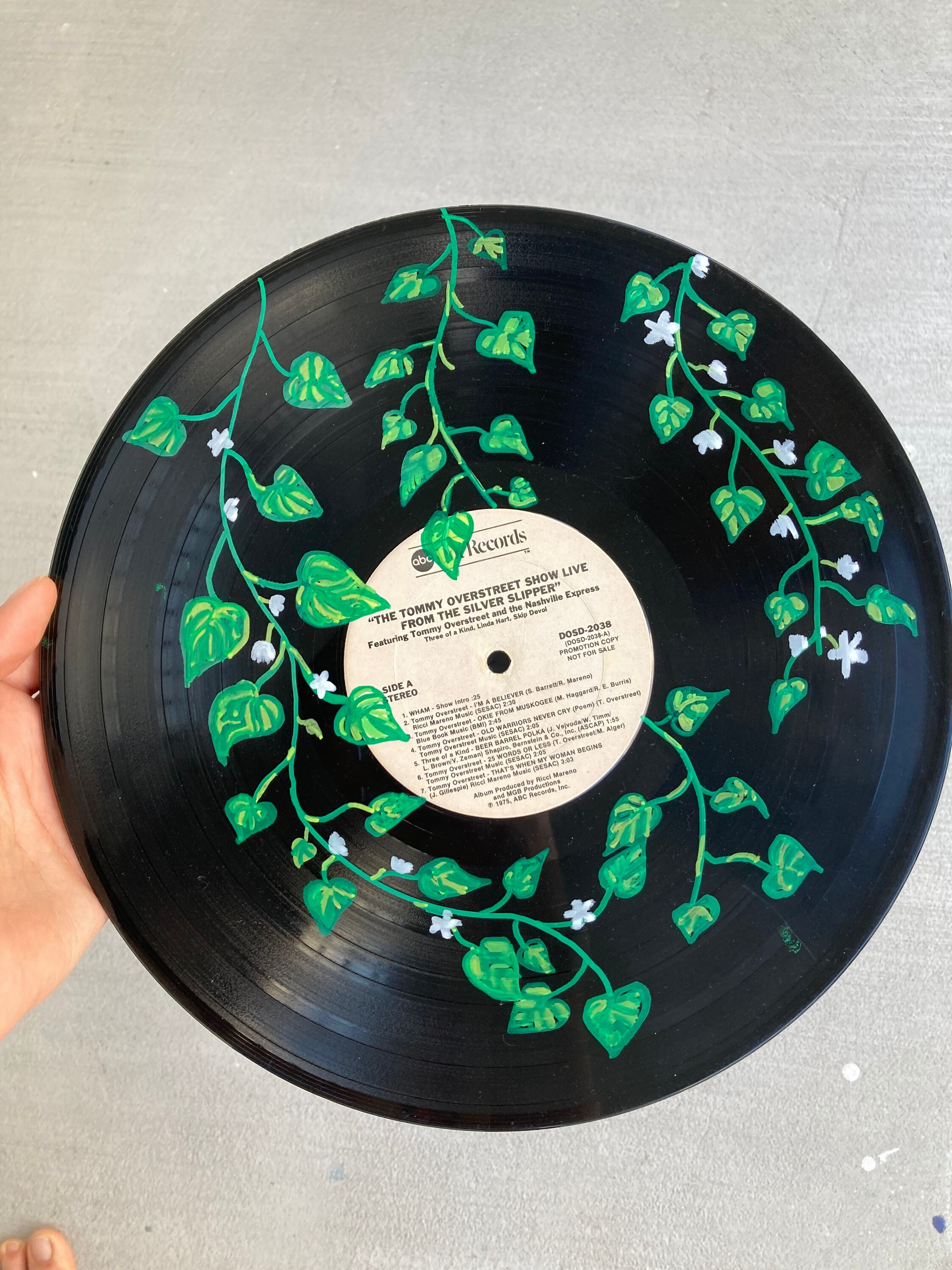 Vines Painted Vinyl Records Etsy