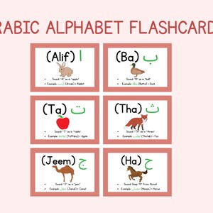 Puede incluir: Flashcards del alfabeto árabe con ilustraciones de un conejo, un pato, una manzana, un zorro, un camello y un caballo. Cada tarjeta presenta la letra árabe, su transliteración inglesa y una palabra de ejemplo.