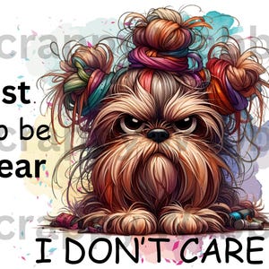 Puede incluir: Un perro marr&oacute;n y blanco con una expresi&oacute;n gru&ntilde;ona. El perro tiene cintas para el pelo de colores en su pelaje. El texto "Just to be clear I don't care" est&aacute; escrito debajo del perro.