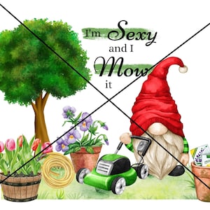 2 digitale Designs, 2 PNG-Dateien, Sublimation, personalisieren, bedruckbar, Gnom, Sommer, Rasenmäher, Garten
