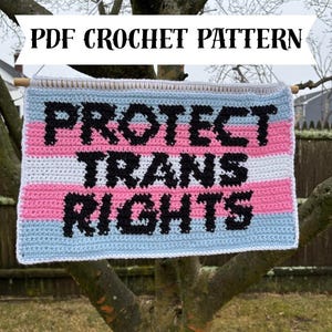 May include: A crocheted banner with the words "PROTECT TRANS RIGHTS" in black yarn on a background of pink, white, and blue stripes. The banner is hanging from a wooden dowel.