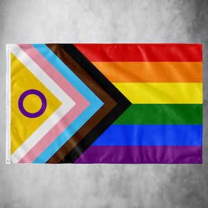 Progress Pride Flag (NEW)