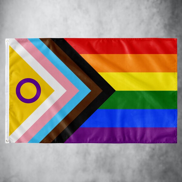 Progress Pride Flagge (NEW)