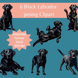 Labrador clipart, dog clipart, black labrador, dogs labrador, labrador art, dog images, black lab art lab clipart, clipart bundle, dog art