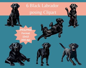 Schwarzer Labrador Clipart Bundle: Hund Kunst Bilder (digitaler Download)