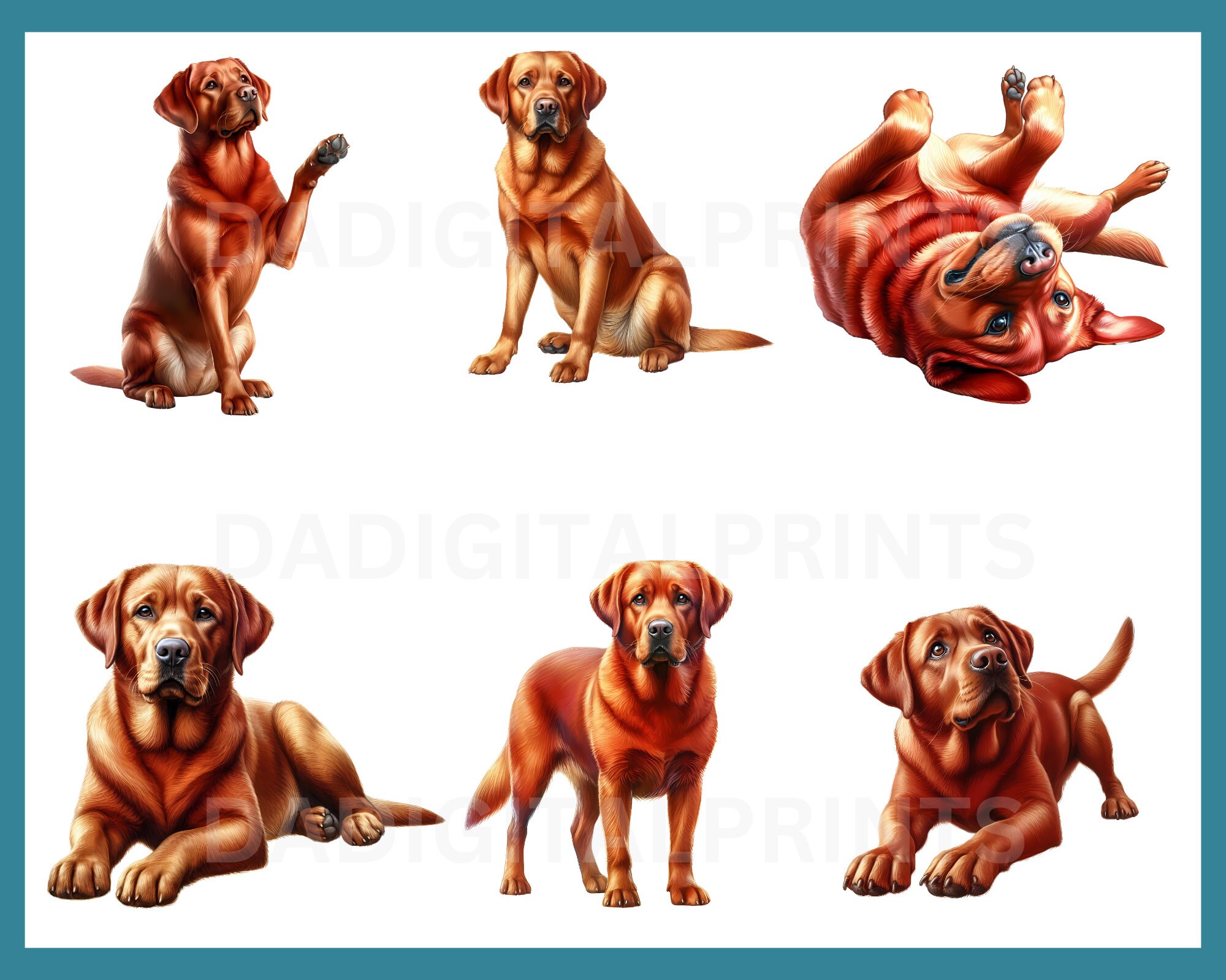 Fox Red Labrador Clipart