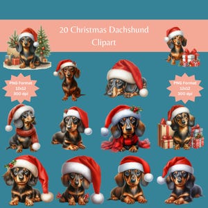 Dackel Clipart, Hund Clipart, Dackel, Dackel, Dackel, Dackelbild, Hund Bilder, Dackel, Hund Bilder, Clipart Bundle, Weihnachten PNG