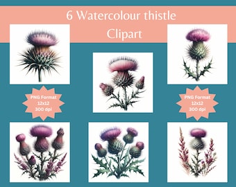 Aquarel Schotse distel clipart: bloem png-bundel (digitale download)