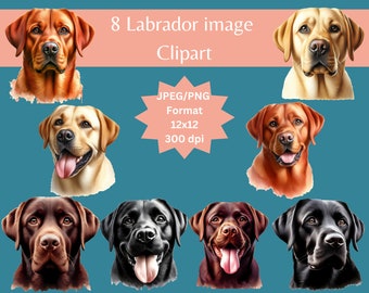Labrador Clipart Bundle: Schwarz, Gelb, Schokolade Hund Bilder (digitaler Download)