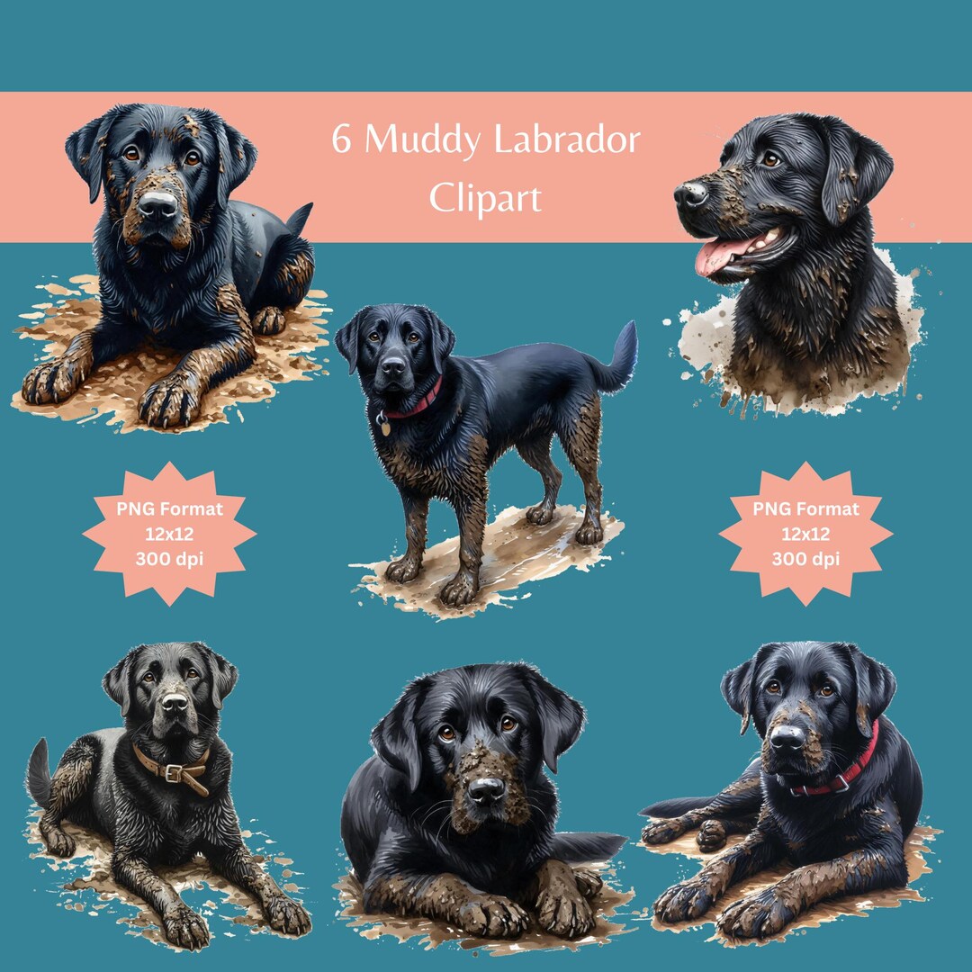 Labrador Clipart, Dog Clipart, Black Labrador, Dogs Labrador, Labrador ...