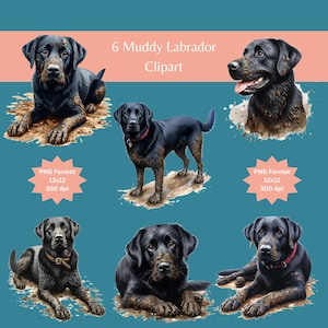 Labrador clipart, dog clipart, black labrador, dogs labrador, labrador art, dog images, black lab art lab clipart, clipart bundle, dog art