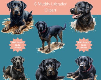 Schwarzer Labrador Clipart-Bundle: Schlammige Hund Kunst (PNG-Dateien)