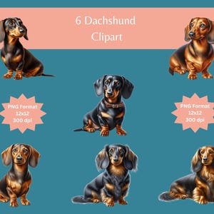 Dackel Clipart, Hund Clipart, Dackel, Dackel, Dachshund, Hund Bilder, Dackel, Clipart Bundle, Hund Kunst, kommerzielle Clipart