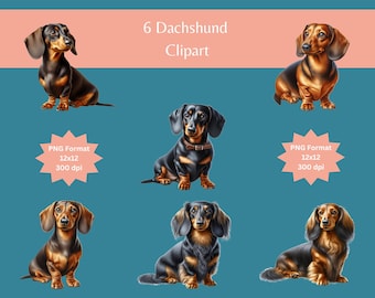 Dachshund Clipart Bundle: Sausage Dog PNG Images (Commercial Use)
