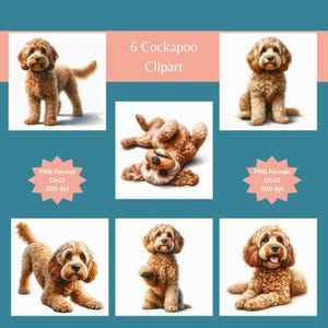 Cockapoo, cockapoo art, cockapoo dogs, dog clipart, dog images, clipart bundle, dog art, dog png bundles, watercolour clipart, digital image