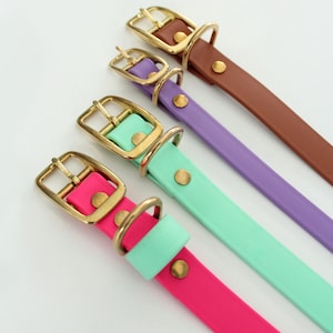May include: Four colourful dog collars in pink, mint green, purple, and brown. Each collar features a gold-coloured buckle and hardware. The collars are made of a smooth, solid-coloured material.