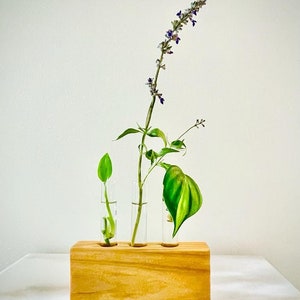 Plant Propagation Station  | Test Tube Holder  |  Plant Gift |  Test Tube Vase   |  Bud Vase