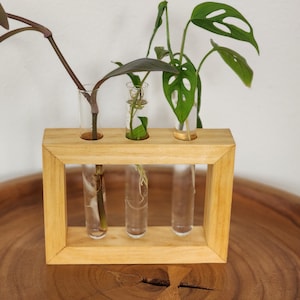 Propagation station