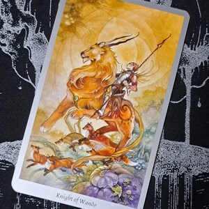 1 einzelne Karte Irgendeine Frage Tarot Lesen Liebe Rat Karriere