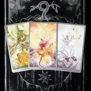 Persönliche 3-Karten-Tarot-Lesung (24 Stunden Lieferung oder weniger)