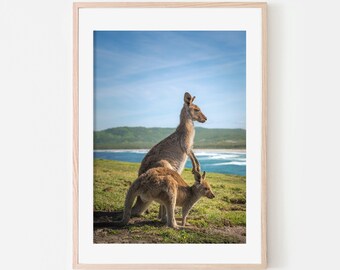 Kangaroo Print Wall Art, Australian Animals Print, Coastal Wall Decor, Print Only Wall Art, Australia Beach House Decor, Nature Photography