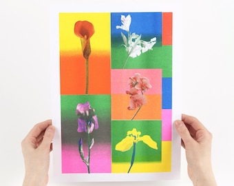 Flowers and colours - Risography printing