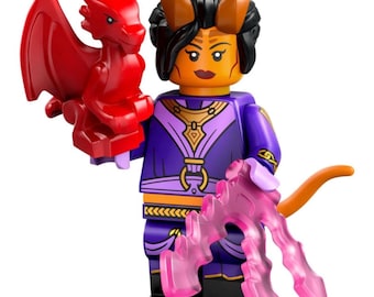 Dungeons and Dragons- Tiefling Sorcerer with Red Baby Dragon
