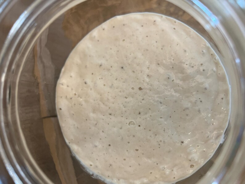 Dehydrated Sourdough Starter
