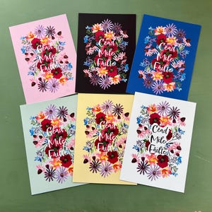 Può includere: Sei biglietti d'auguri con un design floreale e la frase irlandese "Cead Mile Failte", che significa "Centomila benvenuti". I biglietti sono di vari colori, tra cui rosa, nero, blu, verde, giallo e bianco.