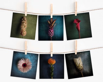 Ansichtkaarten bloemen spaarset | Vierkante fotobriefkaart | Verjaardagskaart | Wenskaart | Ansichtkaart natuurmotief | Cadeaubon | muur decoratie